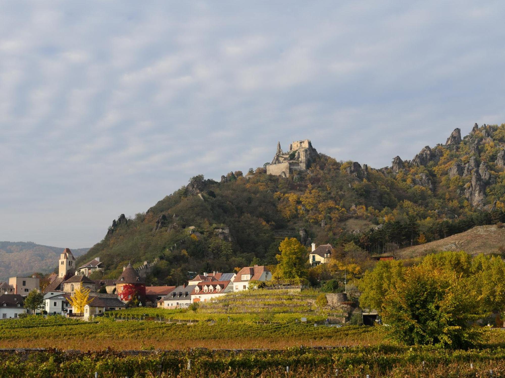 Ferienwohnung Weinbergblick Rohrendorf bei Krems Kültér fotó