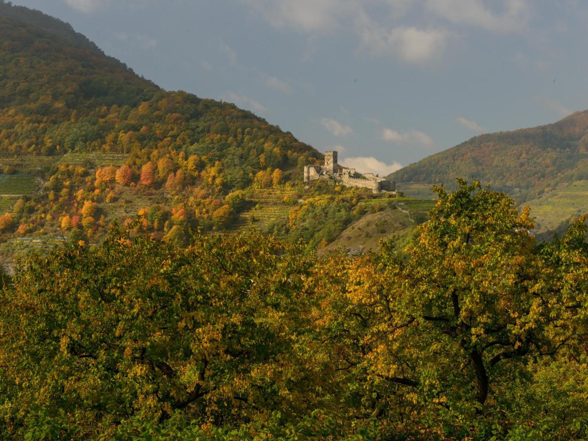 Ferienwohnung Weinbergblick Rohrendorf bei Krems Kültér fotó