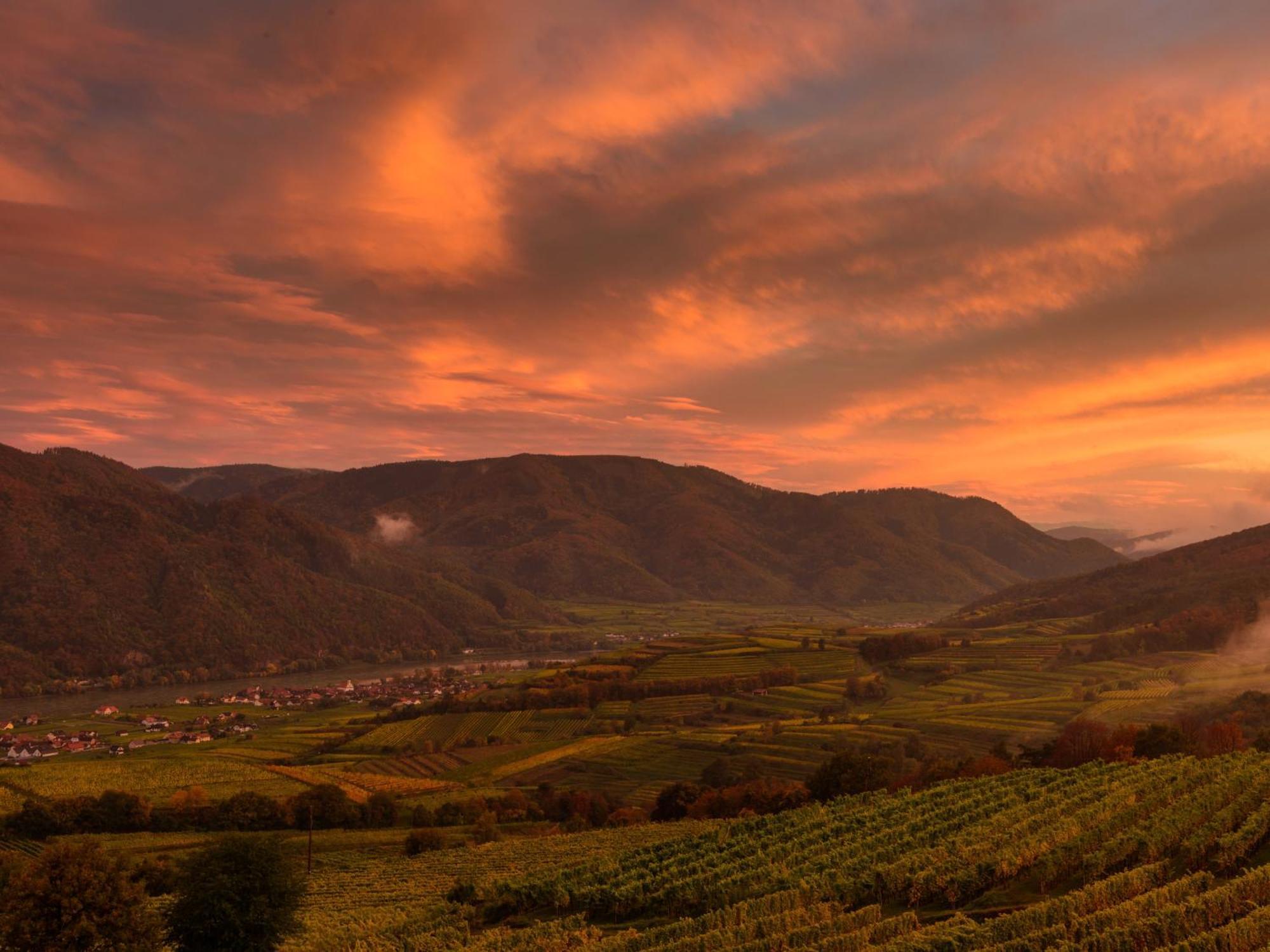 Ferienwohnung Weinbergblick Rohrendorf bei Krems Kültér fotó