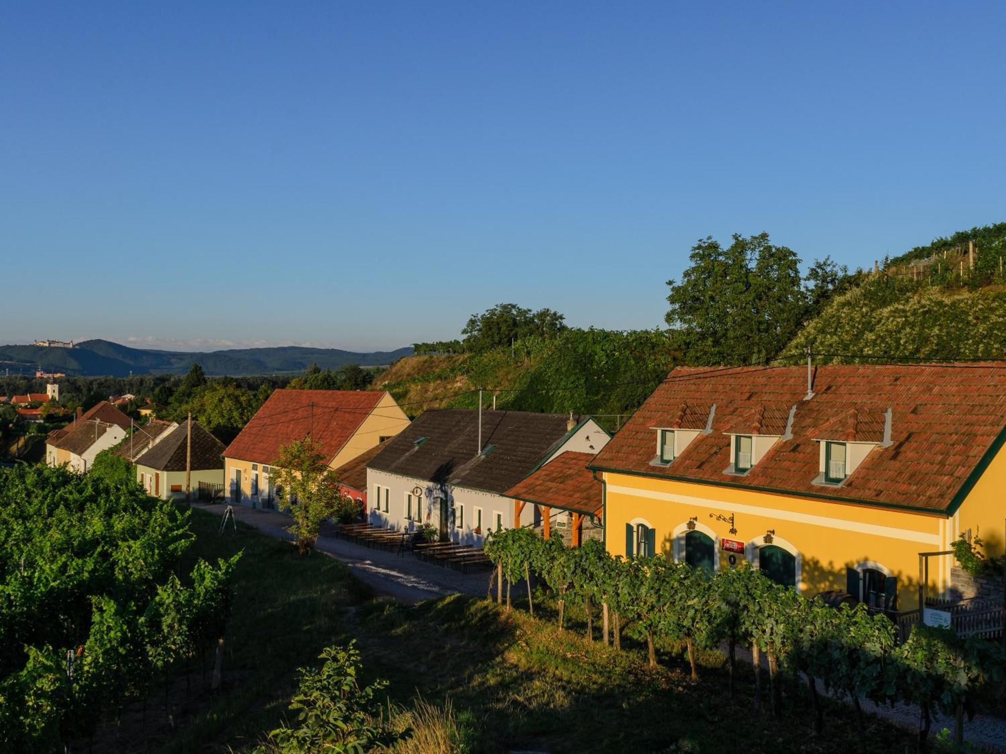 Ferienwohnung Weinbergblick Rohrendorf bei Krems Kültér fotó