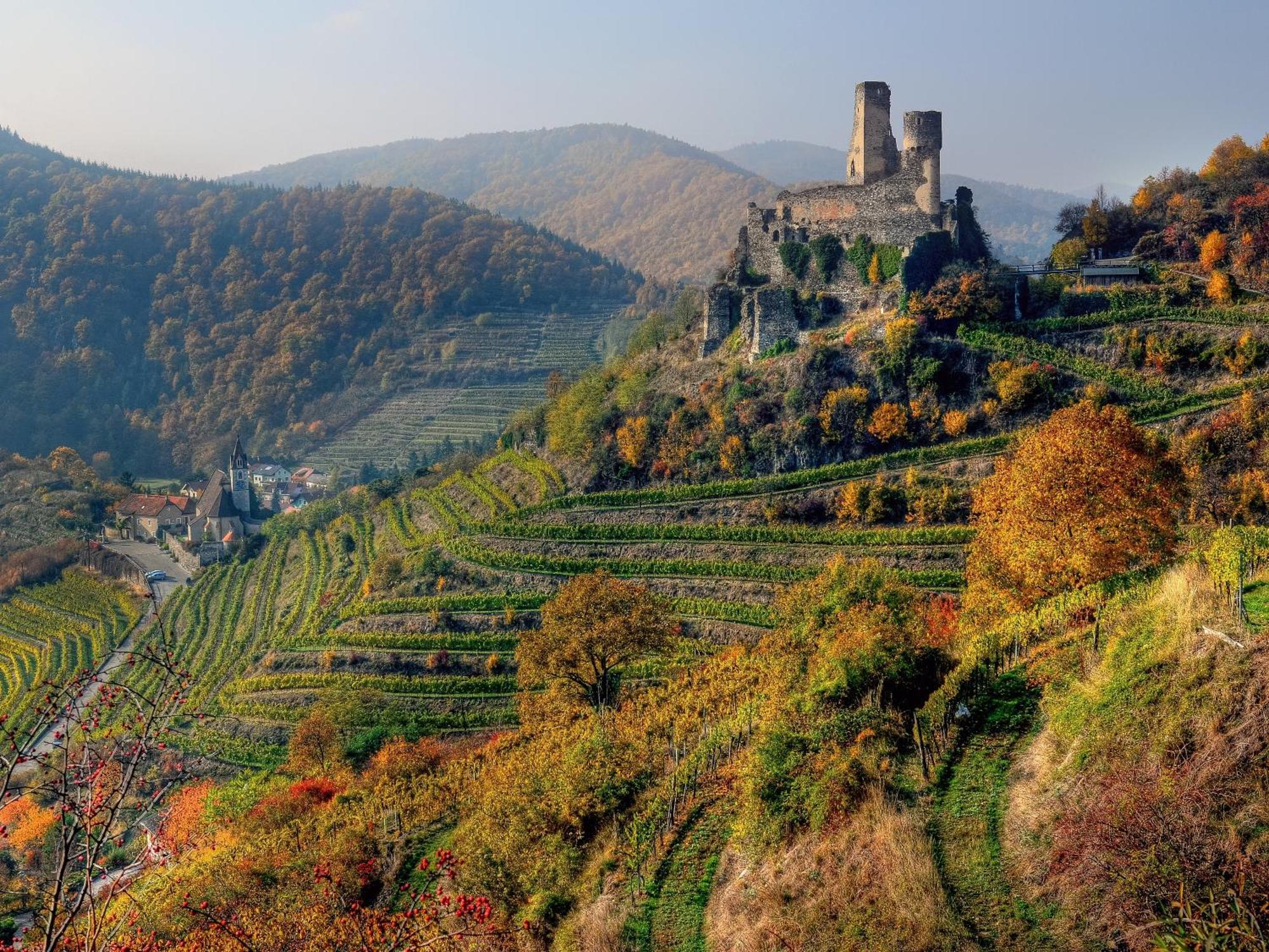 Ferienwohnung Weinbergblick Rohrendorf bei Krems Kültér fotó