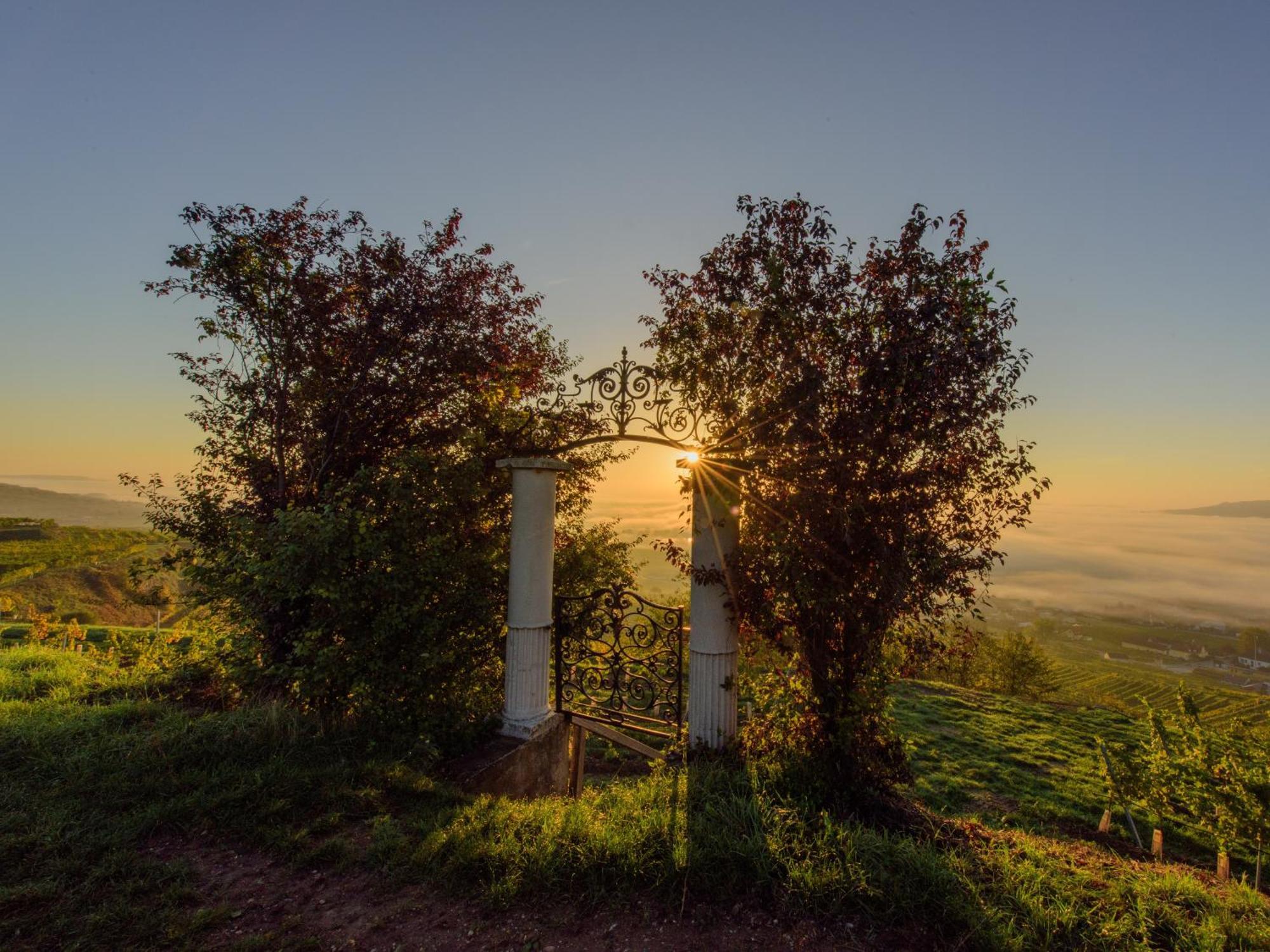 Ferienwohnung Weinbergblick Rohrendorf bei Krems Kültér fotó